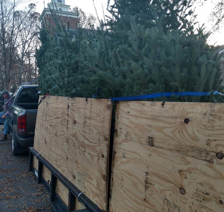 Christmas Tree Sale Proceeds To Go Toward Debt Retirement