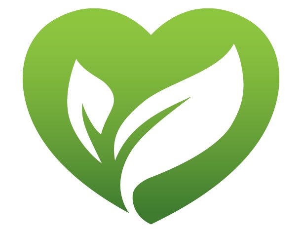 New deduction for charity resulting from the CARES Act